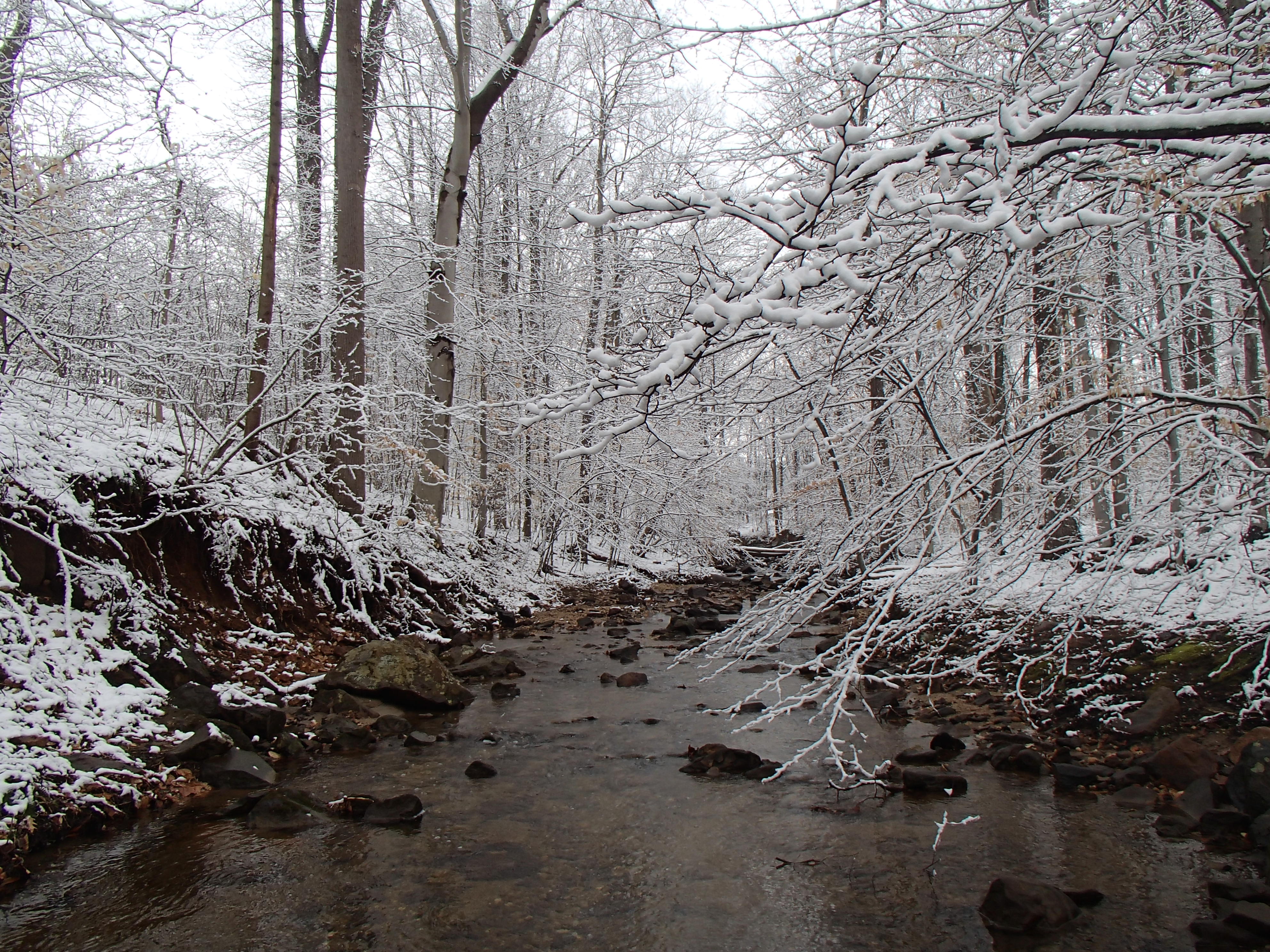 Field photo showing stream conditions at site PATL-288-X-2016_midpoint looking upstream